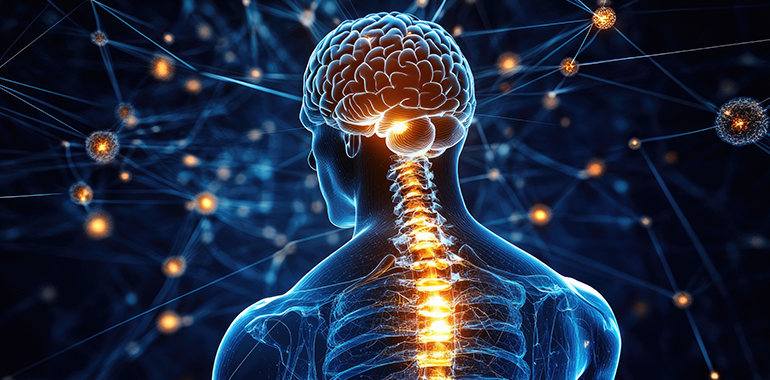 spinal-function Spinal function